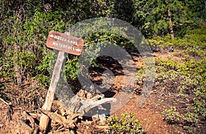 Wooden trail sign in bryce canyon