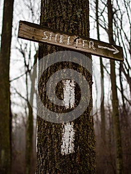 Wooden Trail Sign to Shelter and Trail Blaze - Appalachian Trail