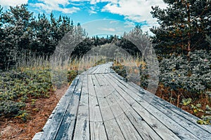 Wooden trail through wood forest with heave planks in wood