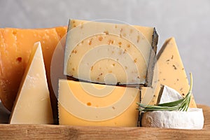 Wooden tray with different sorts of cheese and rosemary