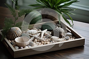 Wooden tray with seashells, pebbles and driftwood, plant in the background for a touch of green