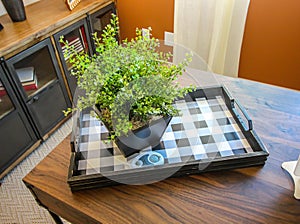 Wooden Tray With Small Plant