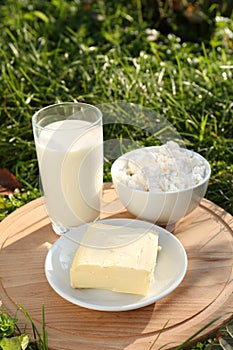 Wooden tray with tasty homemade butter and dairy products on grass outdoors