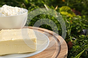 Wooden tray with tasty homemade butter and dairy products on grass outdoors, closeup. Space for text