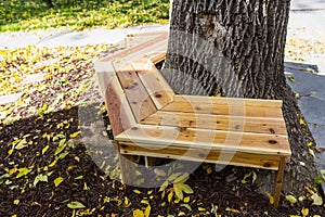 Wooden tree bench wood project