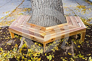 Wooden tree bench wood project