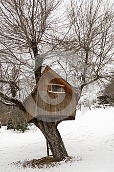 wooden tree house in  Dolomites, Italy