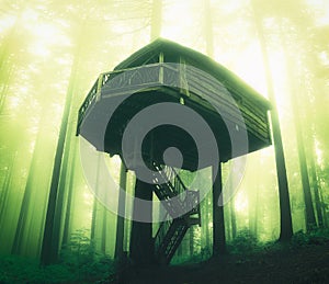 Wooden tree house in the forest