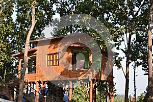 A wooden tree house in the middle of a forest