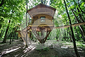 Wooden tree-house in nature park