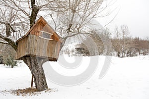 wooden tree house, winter in Andalo, Dolomites, Italy