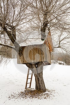 Wooden tree house, winter in Andalo, Dolomites, Italy