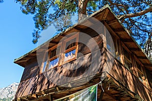 Wooden treehouse. Background with copy space for inscription