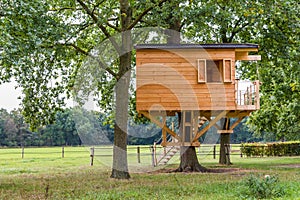 Wooden treehouse