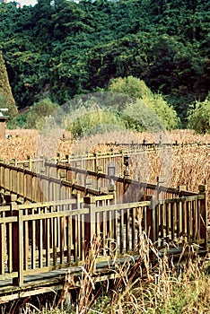 Wooden trestle in the autumn.