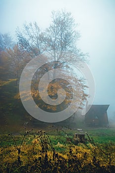 Wooden triangle hut in the mountains forest. Autumn colors. Dense mist fog. Stunning nature landscape with orange tree.
