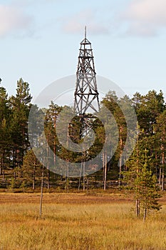 Wooden triangulation point