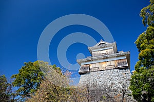 wooden turret or yagura on stone wall of Kumamoto castle in Japan with green tree