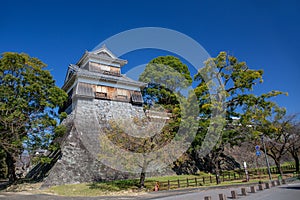 wooden turret or yagura on stone wall of Kumamoto castle in Japan with green tree