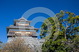 wooden turret or yagura on stone wall of Kumamoto castle in Japan with green tree