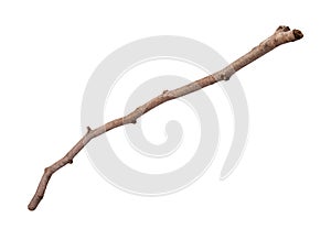 Wooden Twig Isolated