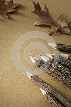 Wooden twig pencils with paper and leaves