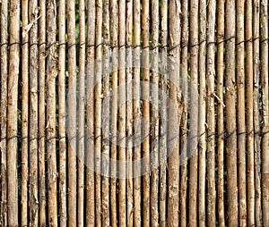 Wooden Twig stalks Garden Fence Background