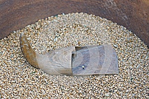 Wooden utensil used by farmers to get grain