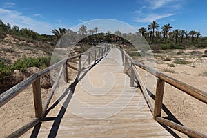 Wooden vials inside the Alfonso XIII park in Guardamar del Segura, Alicante, Spain photo