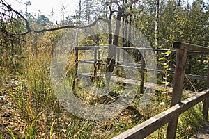 Wooden viewpoint in the Ibm Moorland in upper Austria, in early autumn.