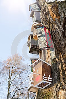 Wooden vintage birdhouses on old dry tree