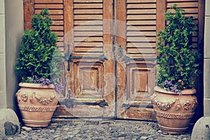 Wooden vintage entrance door and flower pots.