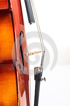 Wooden violin close up detail shot of bridge and cord tuners