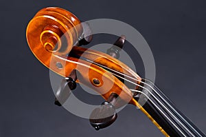 Wooden violin head