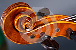 Wooden violin head