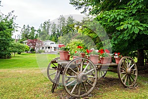 Wooden wagon with flowers