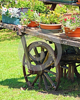 wooden wagon with potted flowers in summer