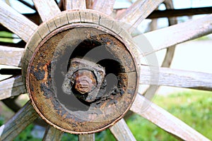 Wooden Wagon Wheel Axle and Spokes