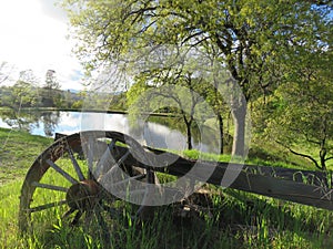 Wooden Wagon Wheel by a Pond