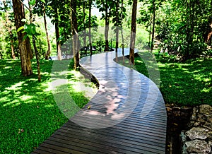 Wooden Walk Curve Way