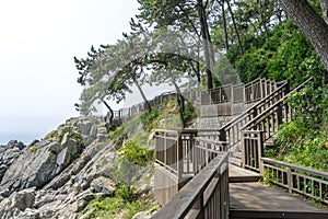 The wooden walk way over the rock cilff in Haeundae Dongbaekseom Island near Haehundae beach