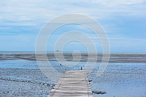Wooden walk way and sea shore on blue sky background