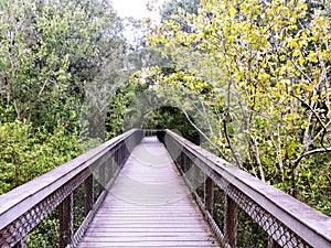 Wooden walking bridge in a quiet city park