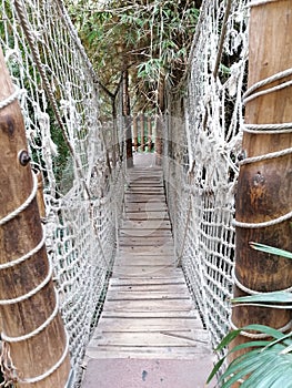 Wooden walking bridge with Rope fence in Zoo