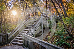 Wooden walking path in Autumn