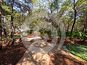 A wooden walking path that goes through a neighborhood park near Rosemary Beach along the popular tourist destination 30A