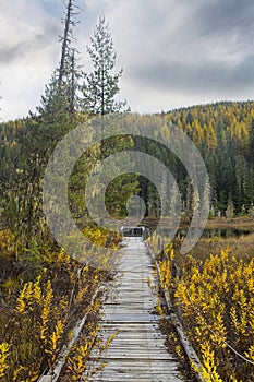 Wooden walking path leading to small lake photo