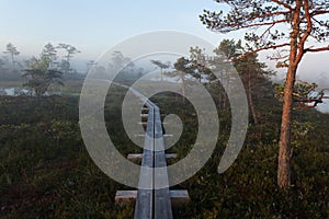 A wooden walking pathway on a hiking trail through an Estonian bog