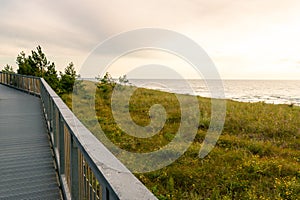A wooden walking platform surrounded by seaside plants. Dunes covered with various species of grass. Baltic coast. Sunset. Darlowo