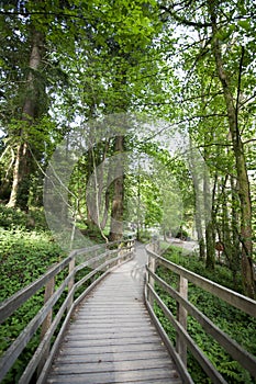 Wooden walkway